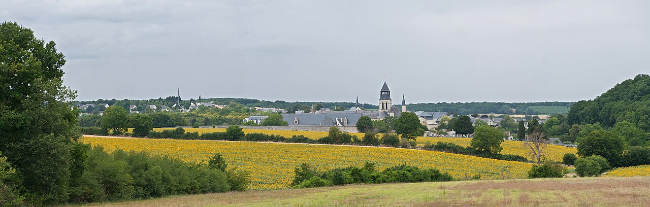 Vue de Saint-Germain-sur-Vienne