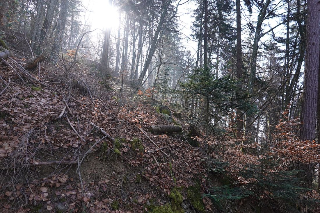Vue de Saint-Jean-de-Tholome