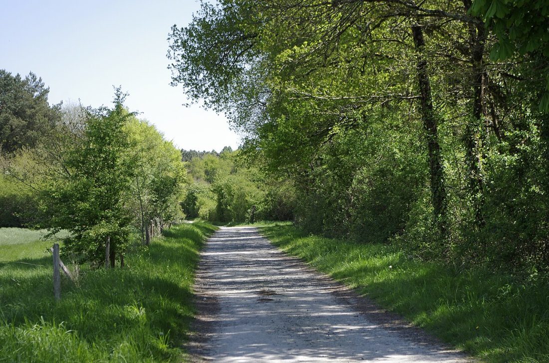 Vue de Saint-Julien-de-Chédon