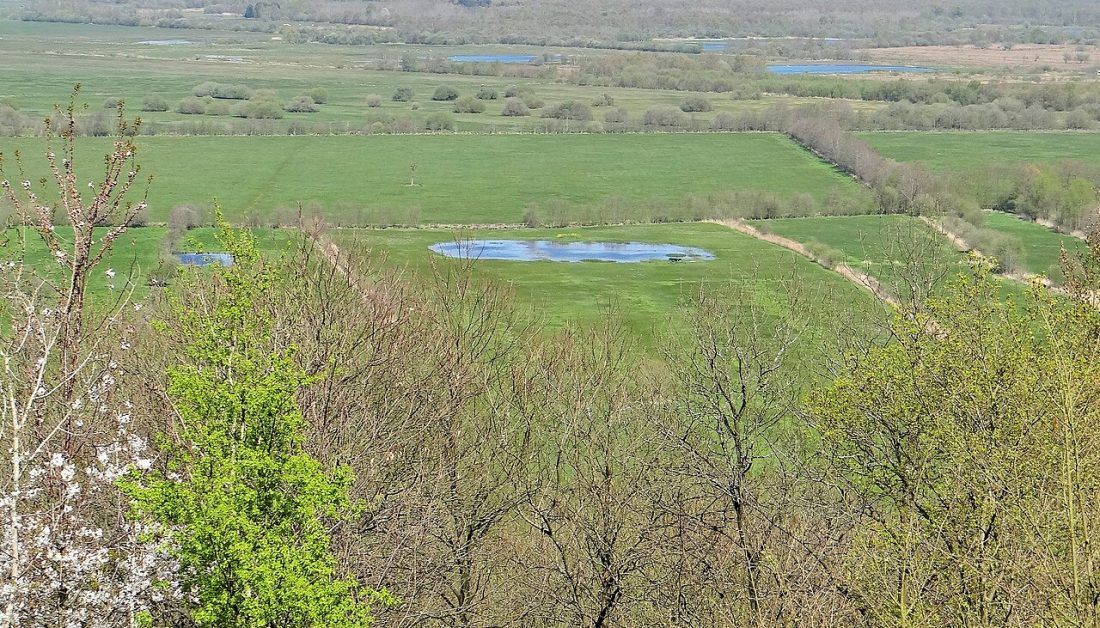 Vue de Saint-Maclou