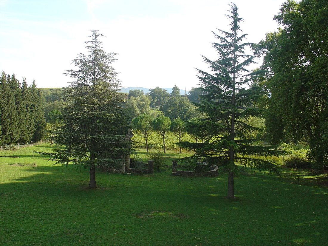 Vue de Saint-Marcellin-lès-Vaison
