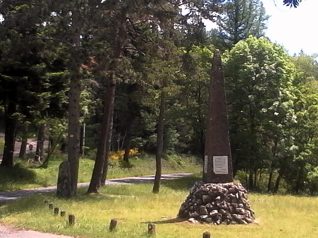 Vue de Saint-Martin-de-Lansuscle