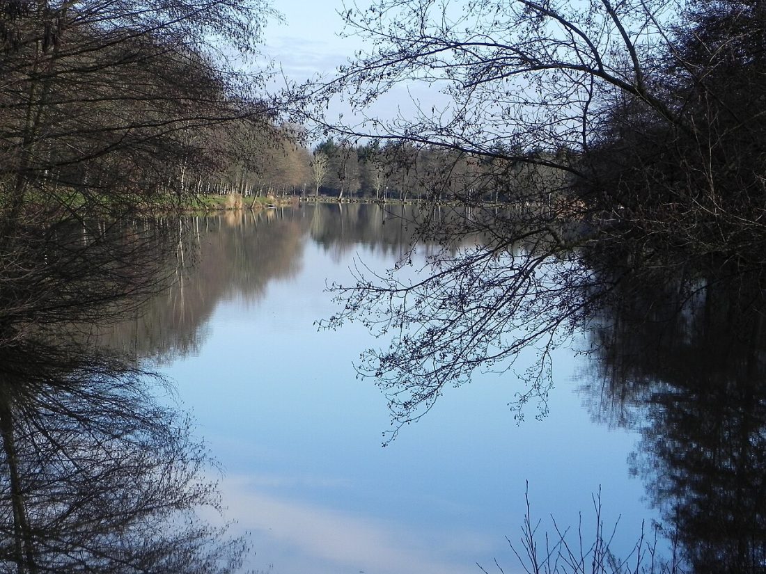 Vue de Saint-Ouen-lès-Parey