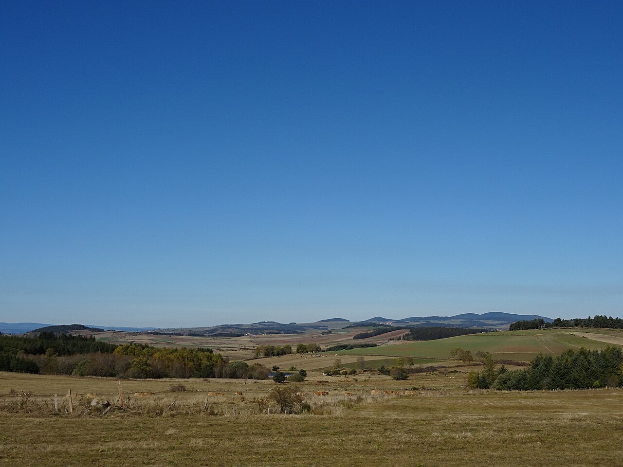 Vue de Saint-Paul-de-Tartas