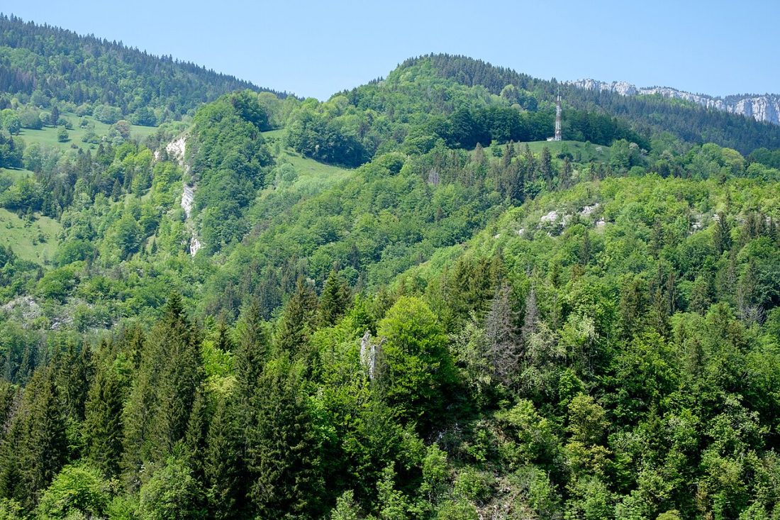 Vue de Saint-Pierre-d'Entremont