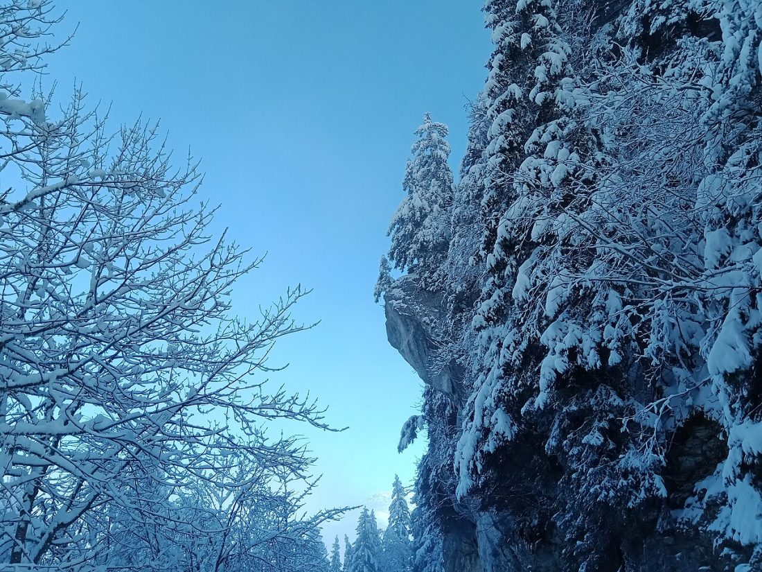 Vue de Saint-Pierre-de-Chartreuse