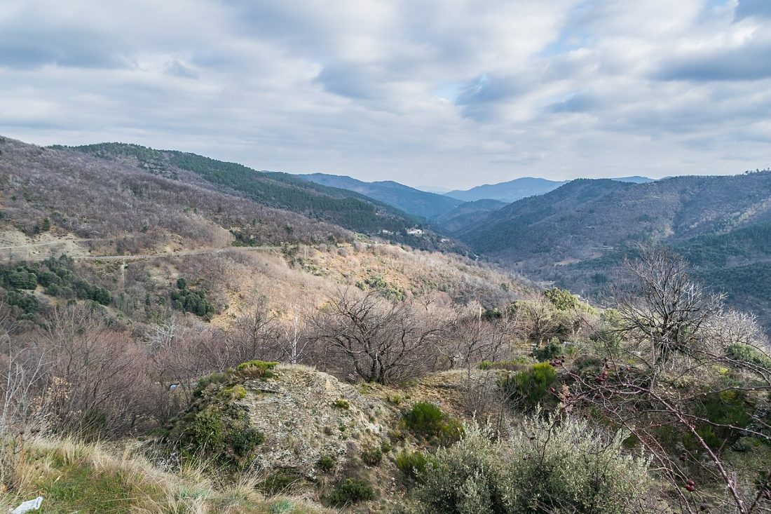 Vue de Saint-Privat-de-Vallongue