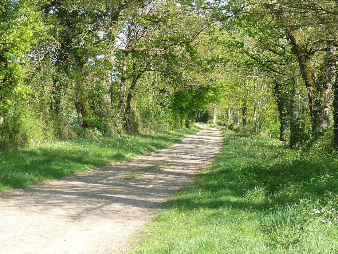 Vue de Saint-Quentin-sur-Charente