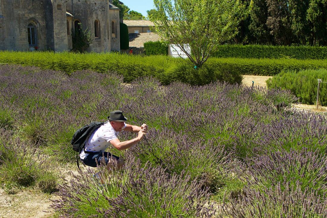 Vue de Saint-Rémy-de-Provence