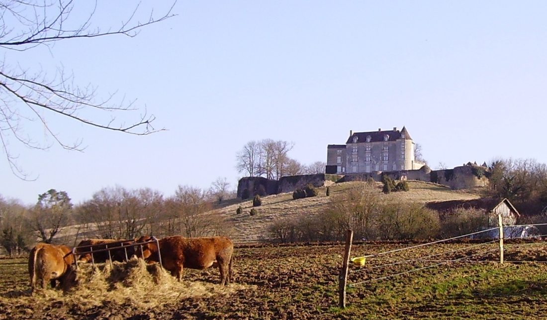 Vue de Saint-Séverin-d'Estissac