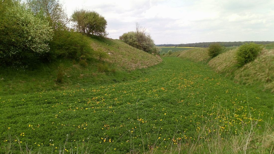 Vue de Saint-Vaast-en-Chaussée
