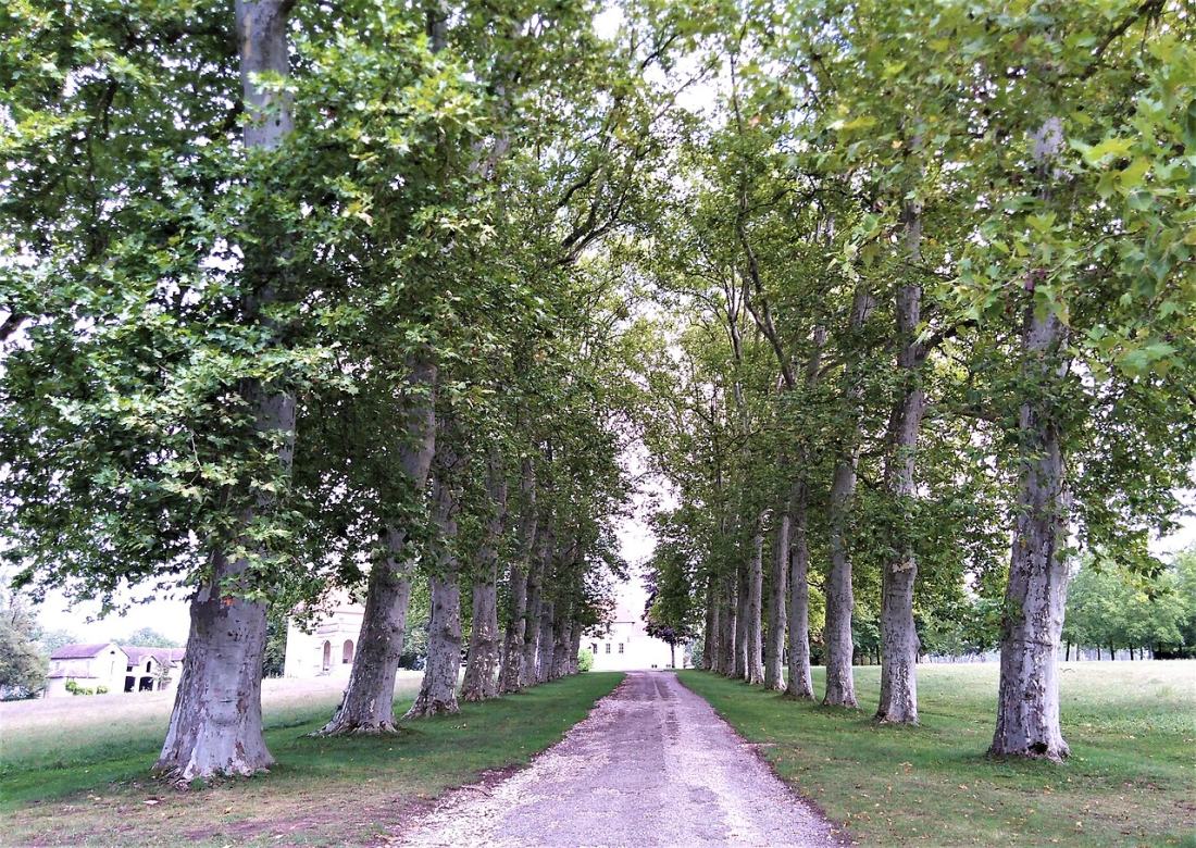 Vue de Saint-Victor-de-Morestel