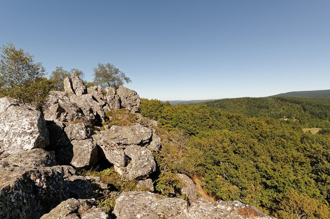 Vue de Saint-Victor-Montvianeix