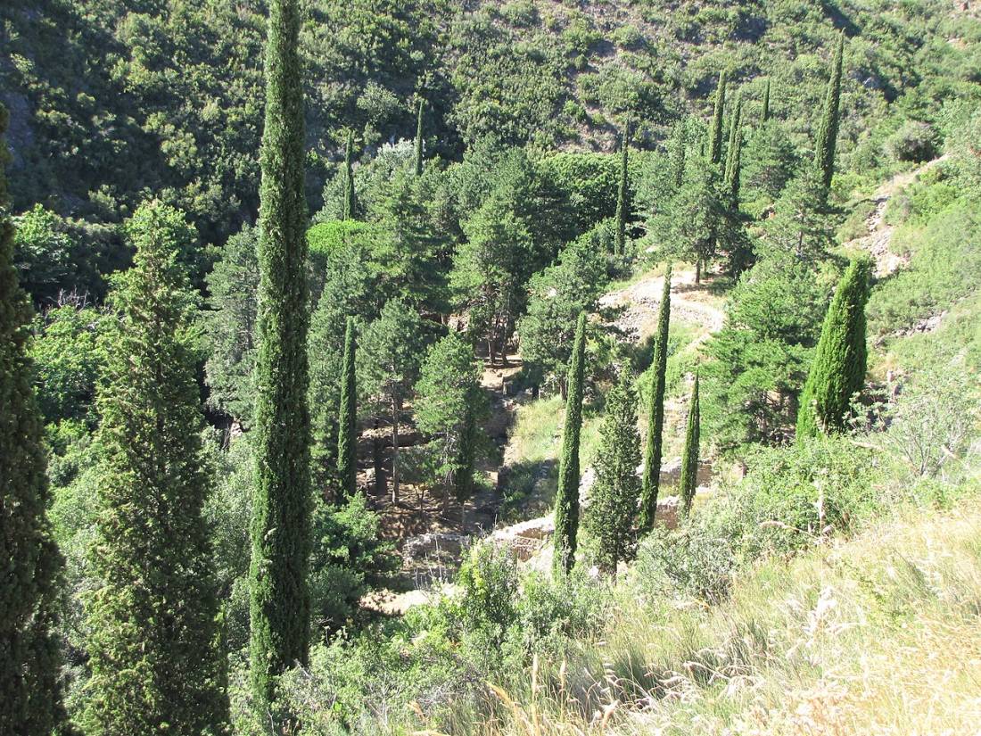 Vue de Salsigne