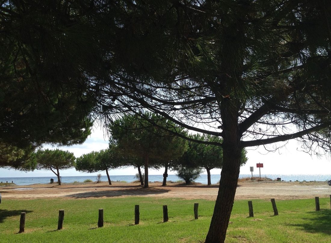 Vue de Santa-Lucia-di-Moriani