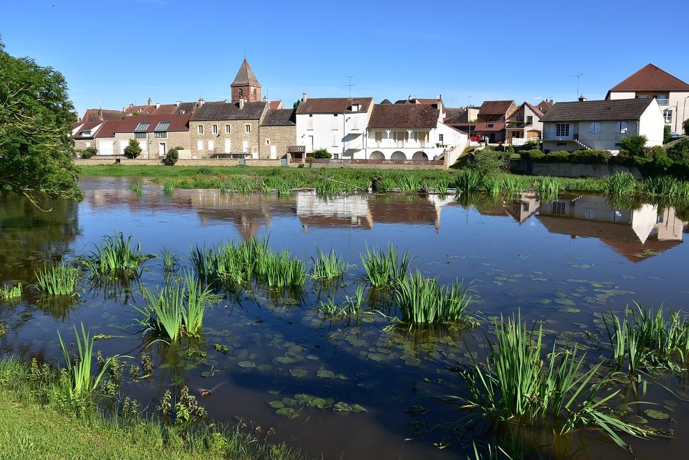 Vue de Savigny-en-Terre-Plaine