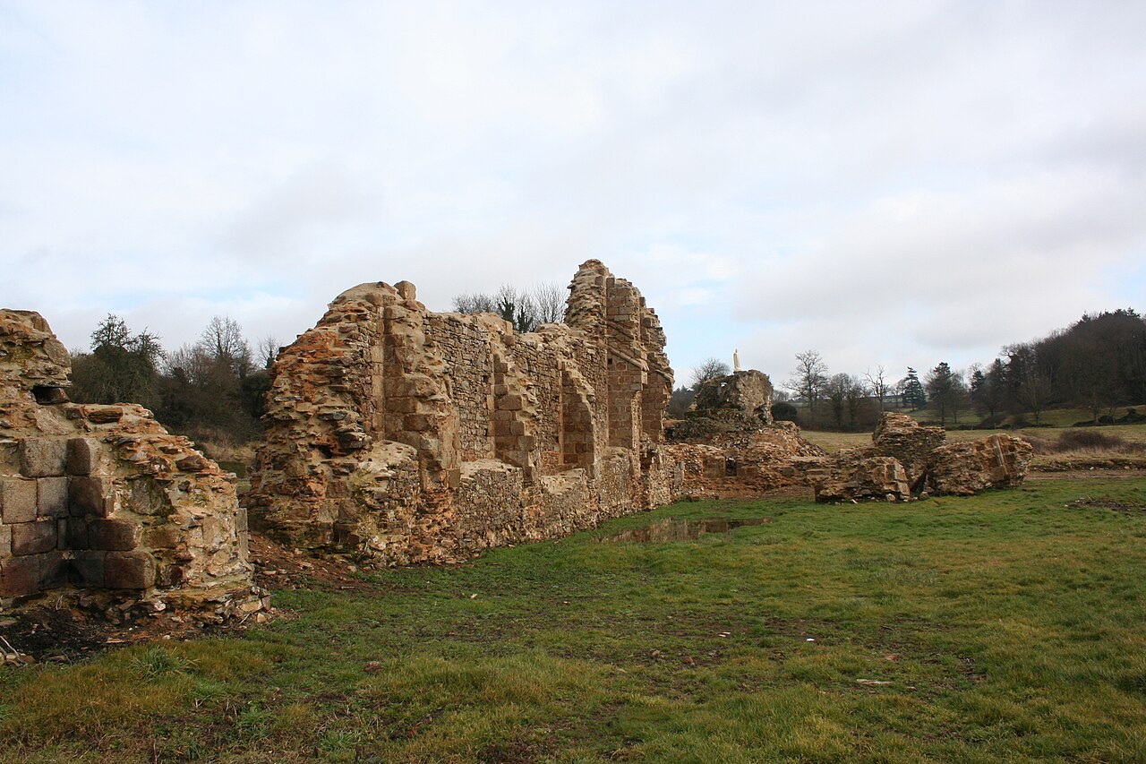 Vue de Savigny-le-Vieux