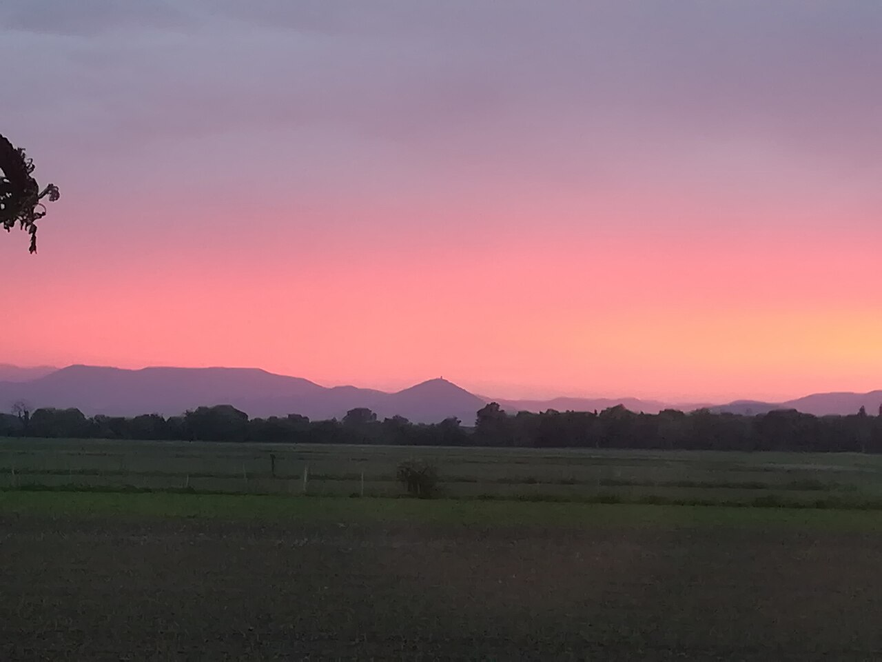 Vue de Schœnau