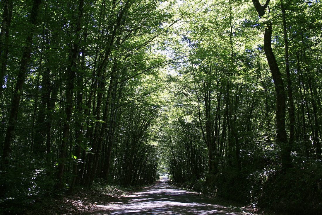 Vue de Servanches