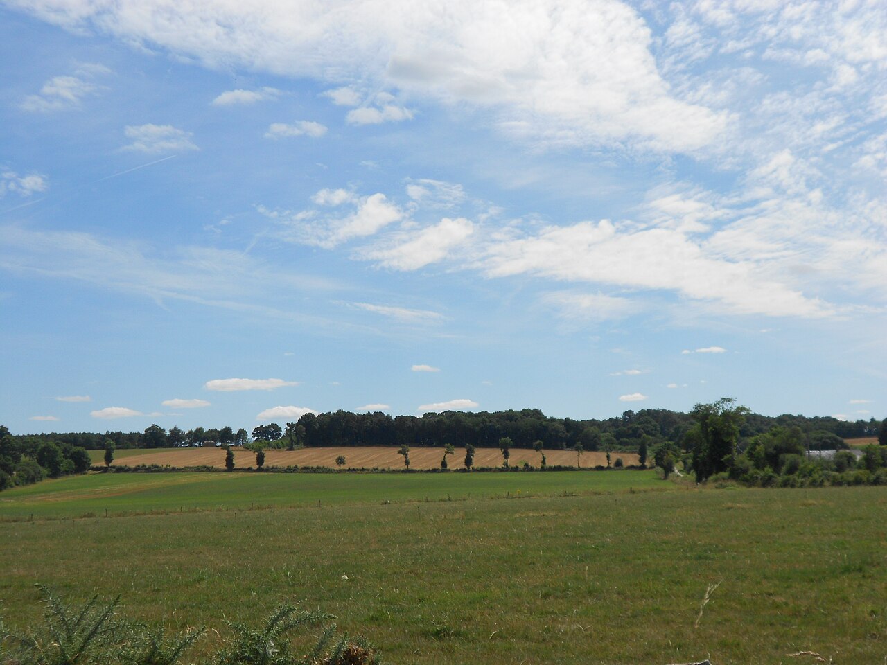 Vue de Sion-les-Mines