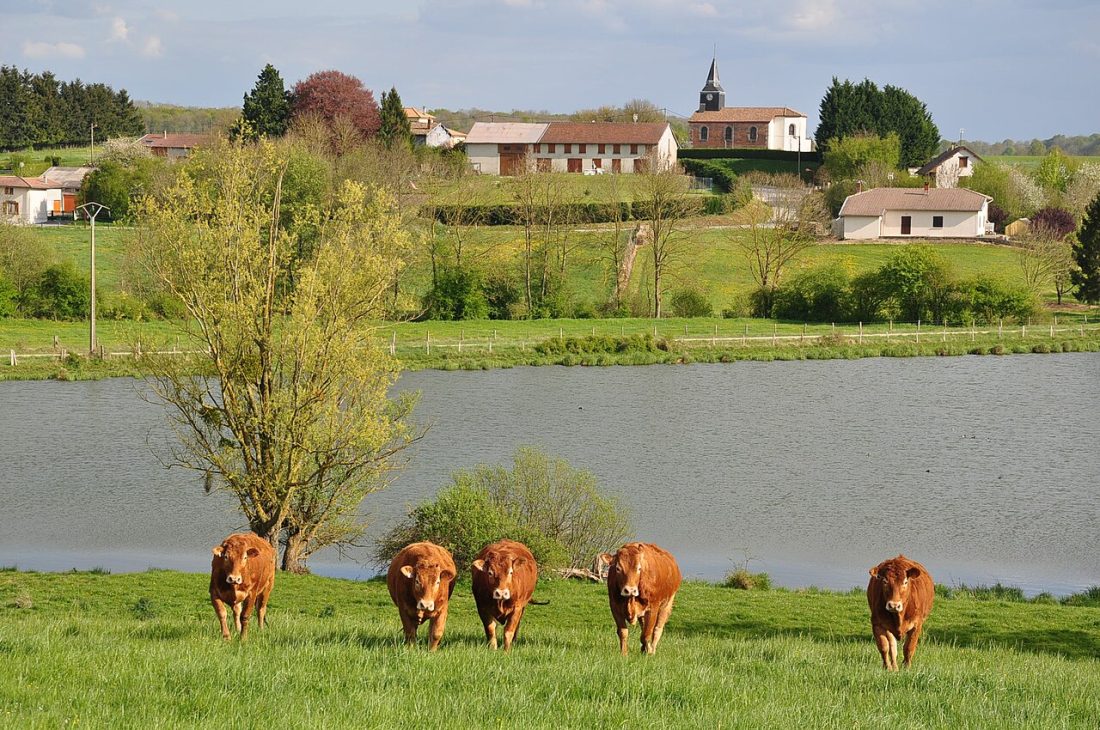 Vue de Sivry-Ante