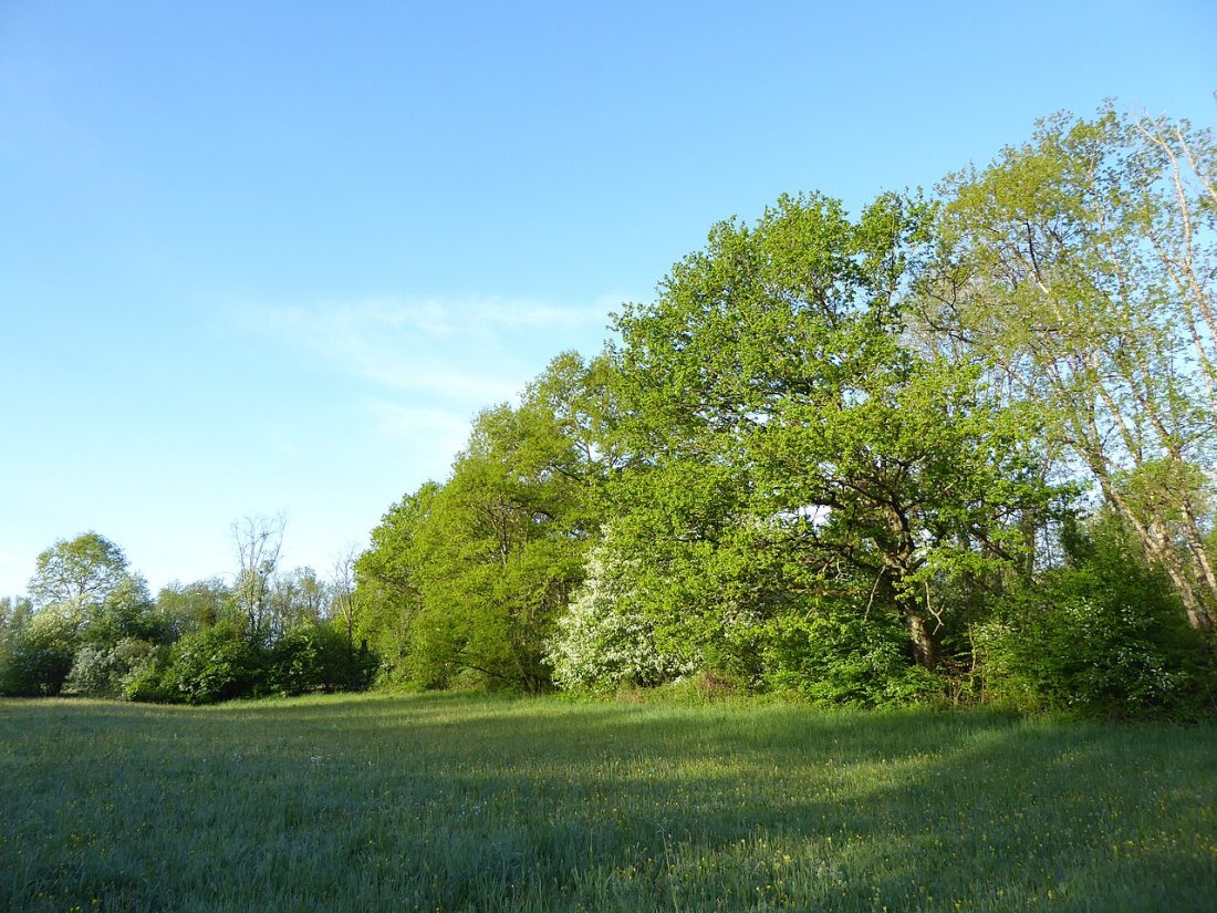 Vue de Socourt