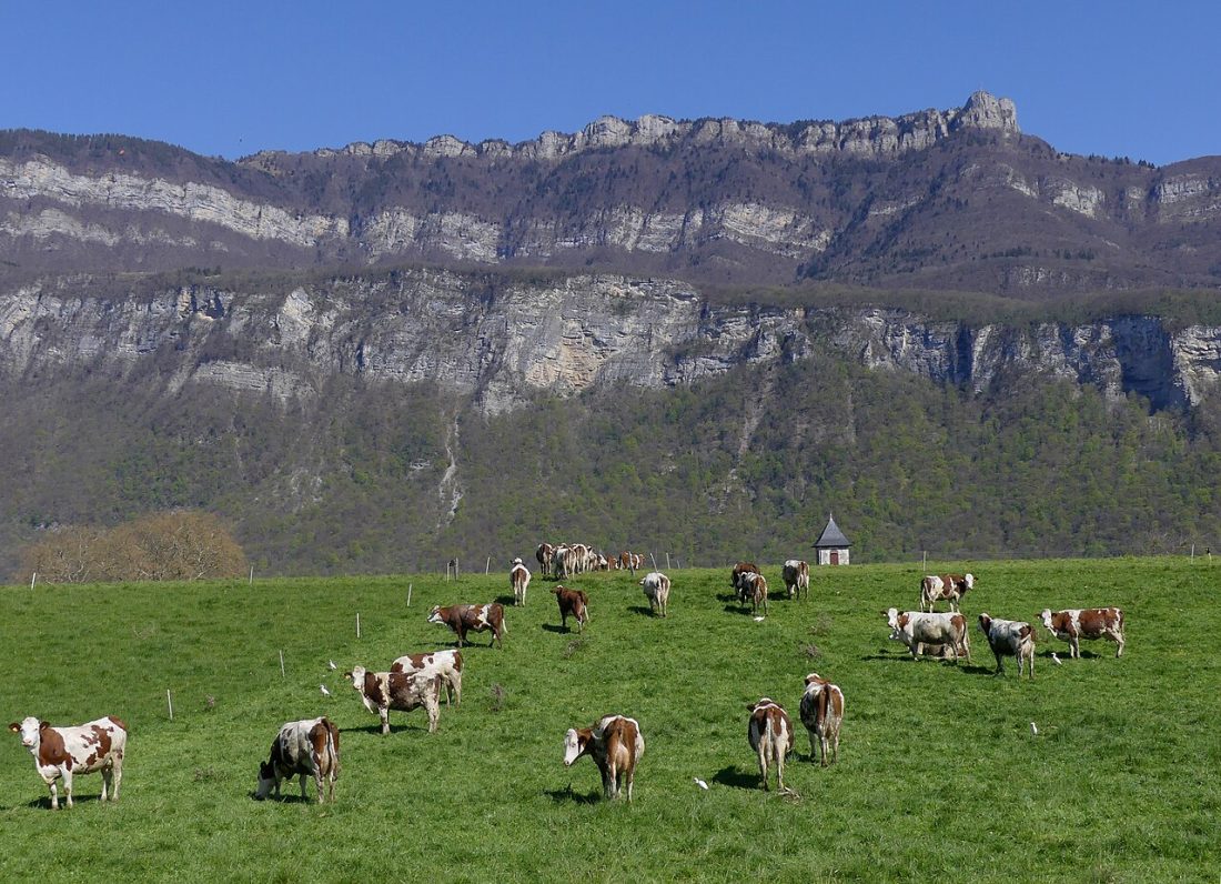 Vue de Sonnaz