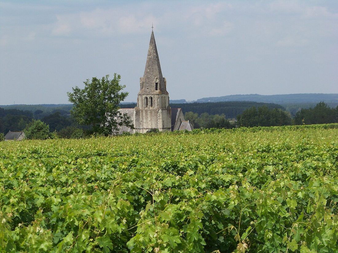 Vue de Souzay-Champigny