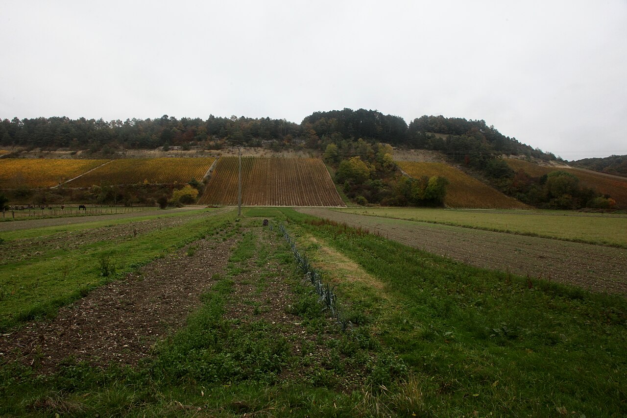 Vue de Spoy