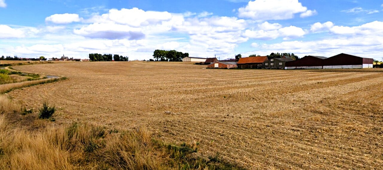 Vue de Strazeele