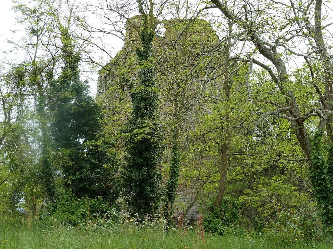 Vue de Talmont-Saint-Hilaire