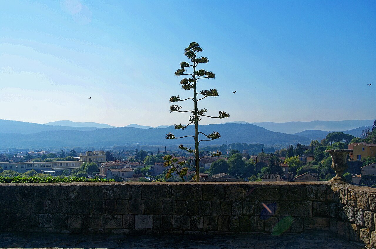 Vue de Taradeau