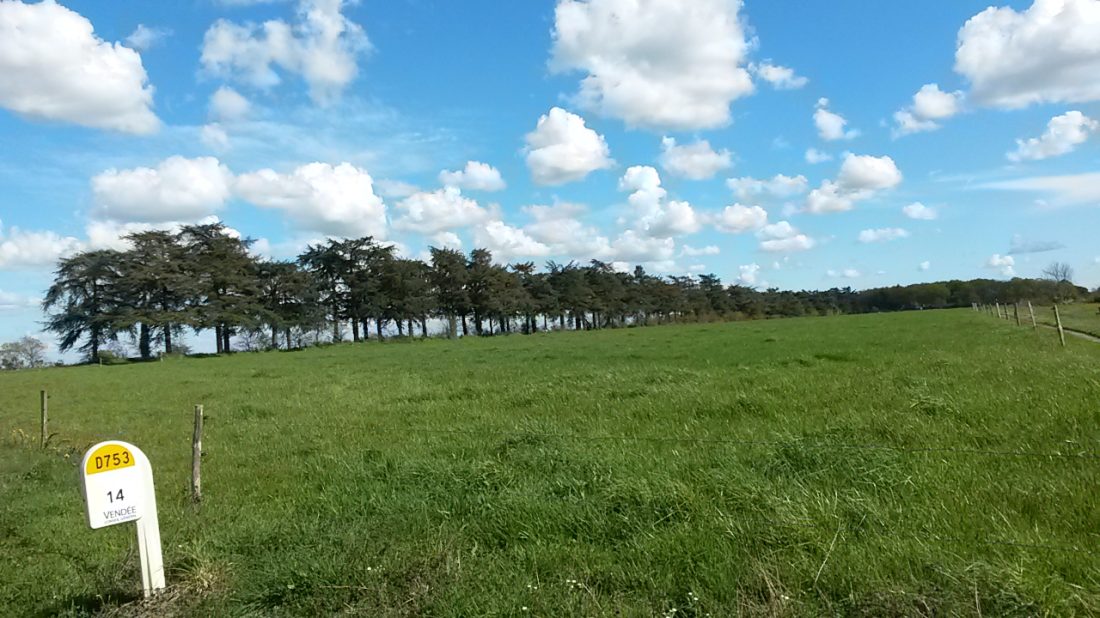 Vue de Treize-Septiers