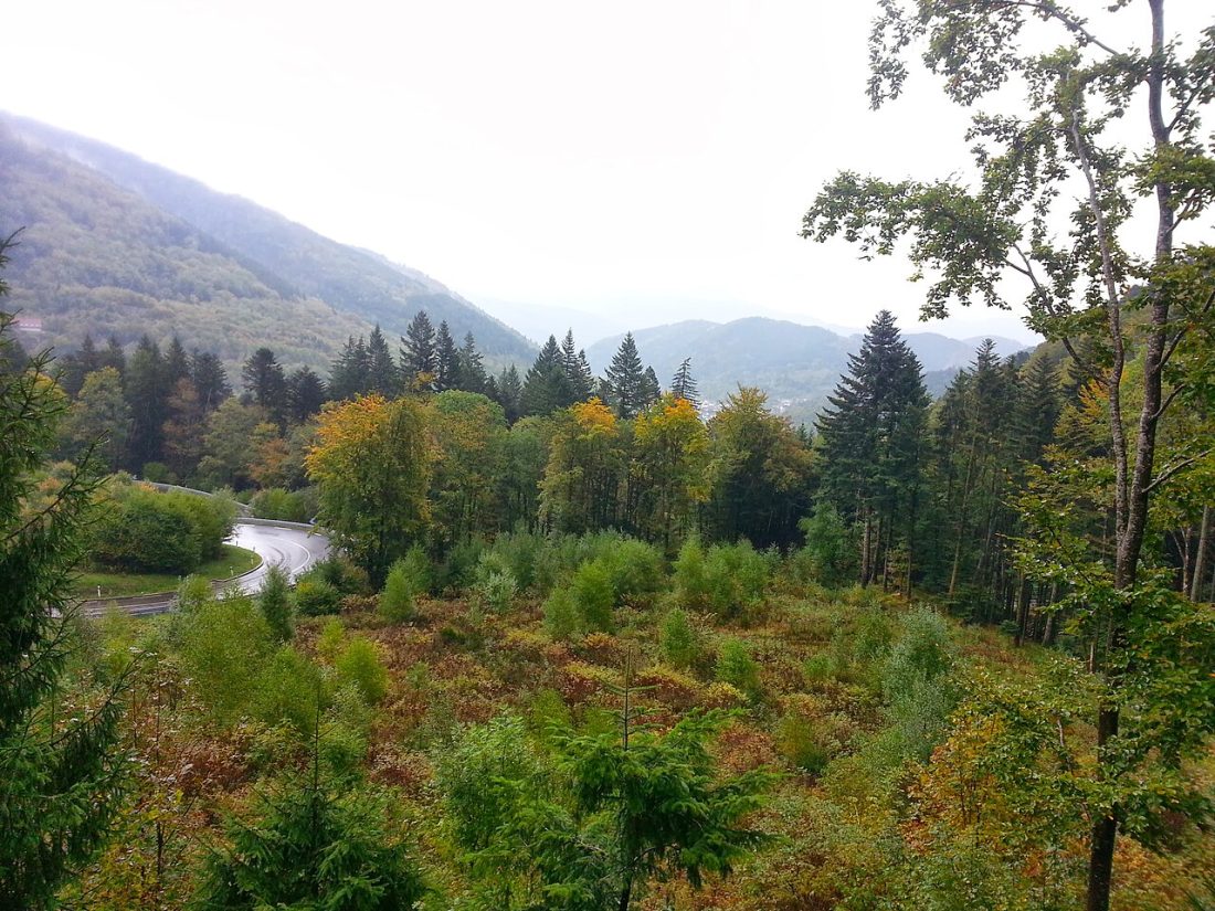 Vue de Urbès