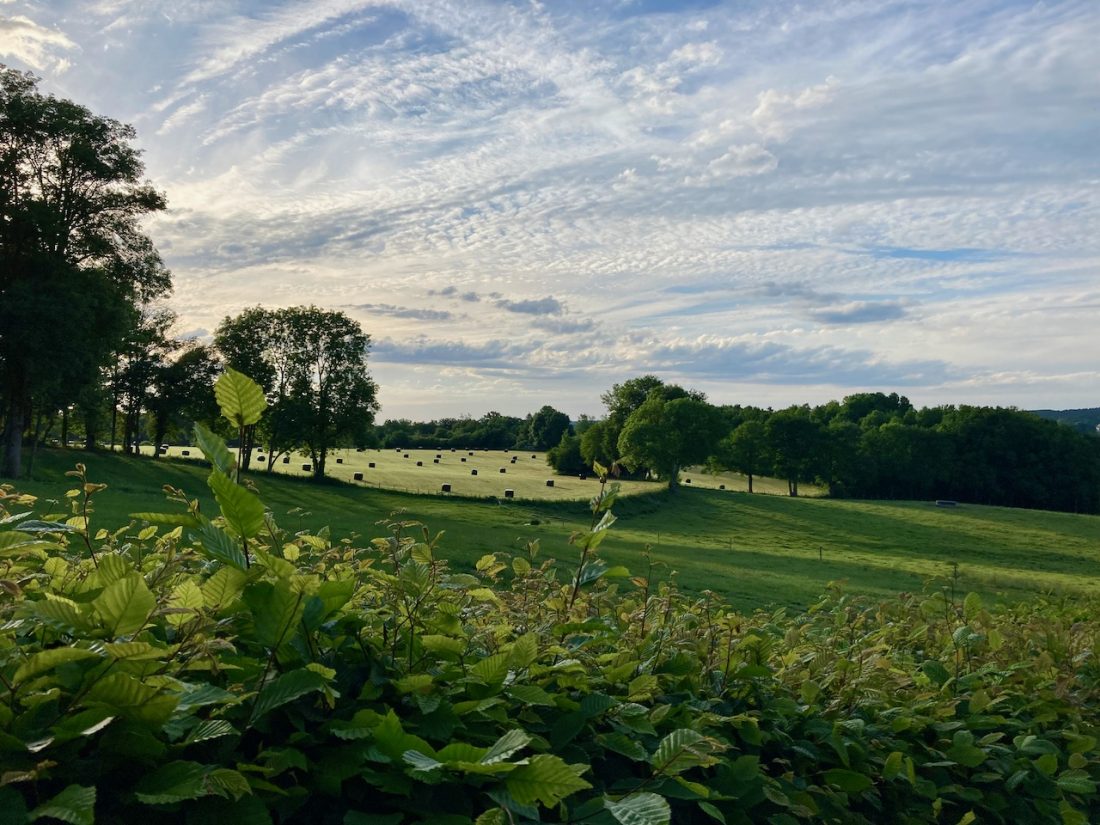 Vue de Vallière