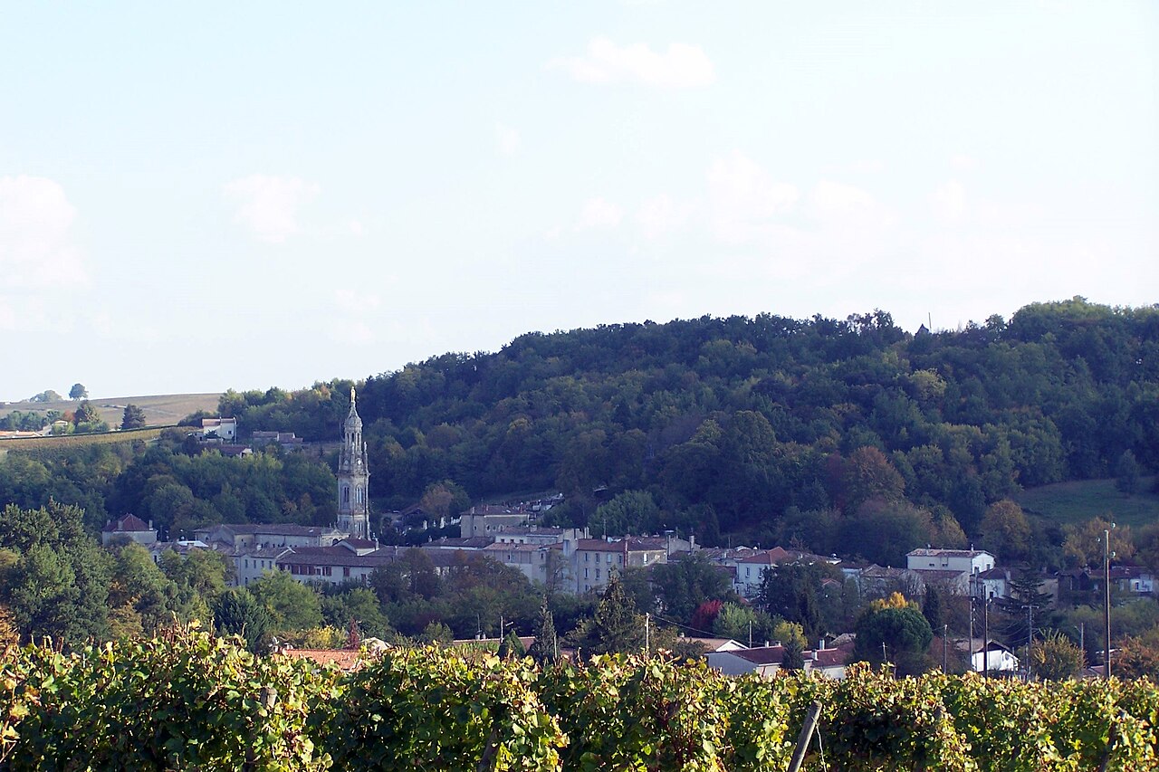 Vue de Verdelais