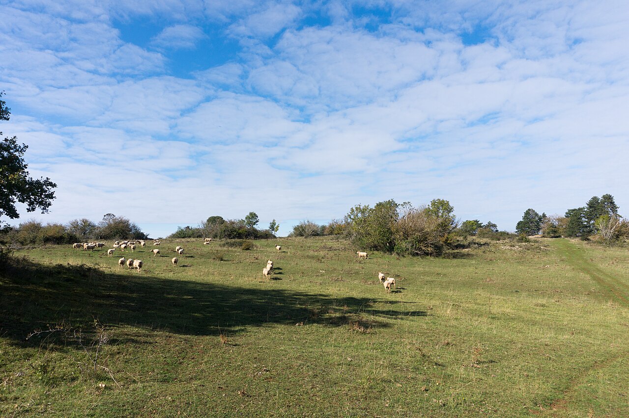 Vue de Vesvres