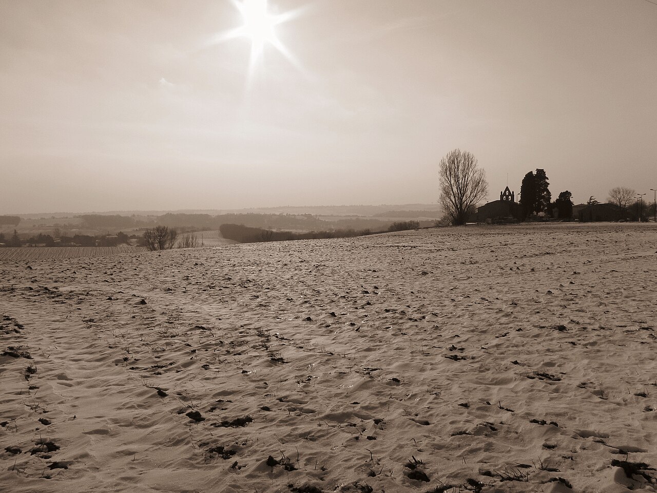 Vue de Vigoulet-Auzil