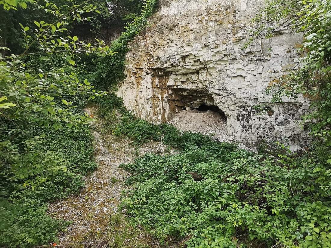 Vue de Villenauxe-la-Petite