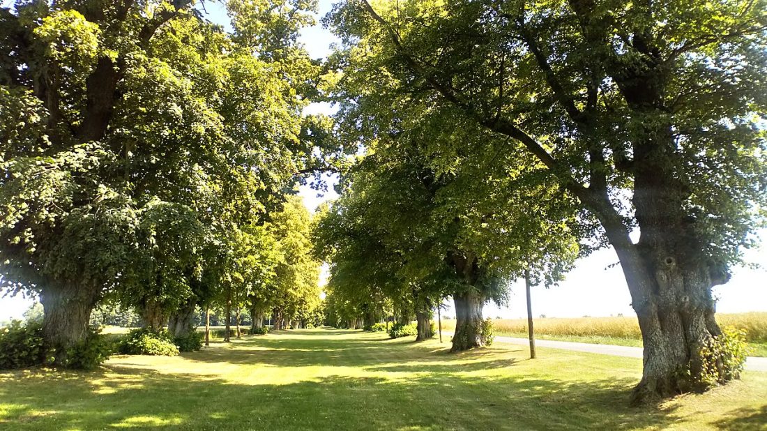 Vue de Villers-aux-Érables