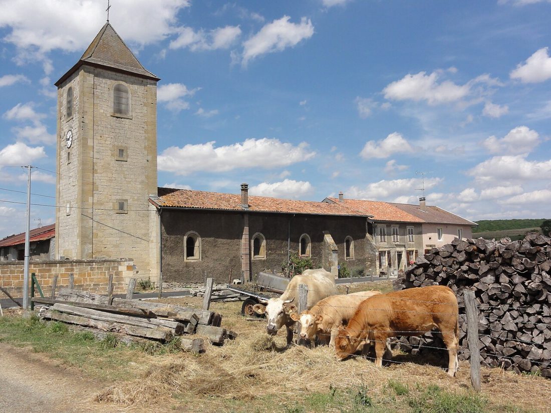 Vue de Villers-lès-Mangiennes