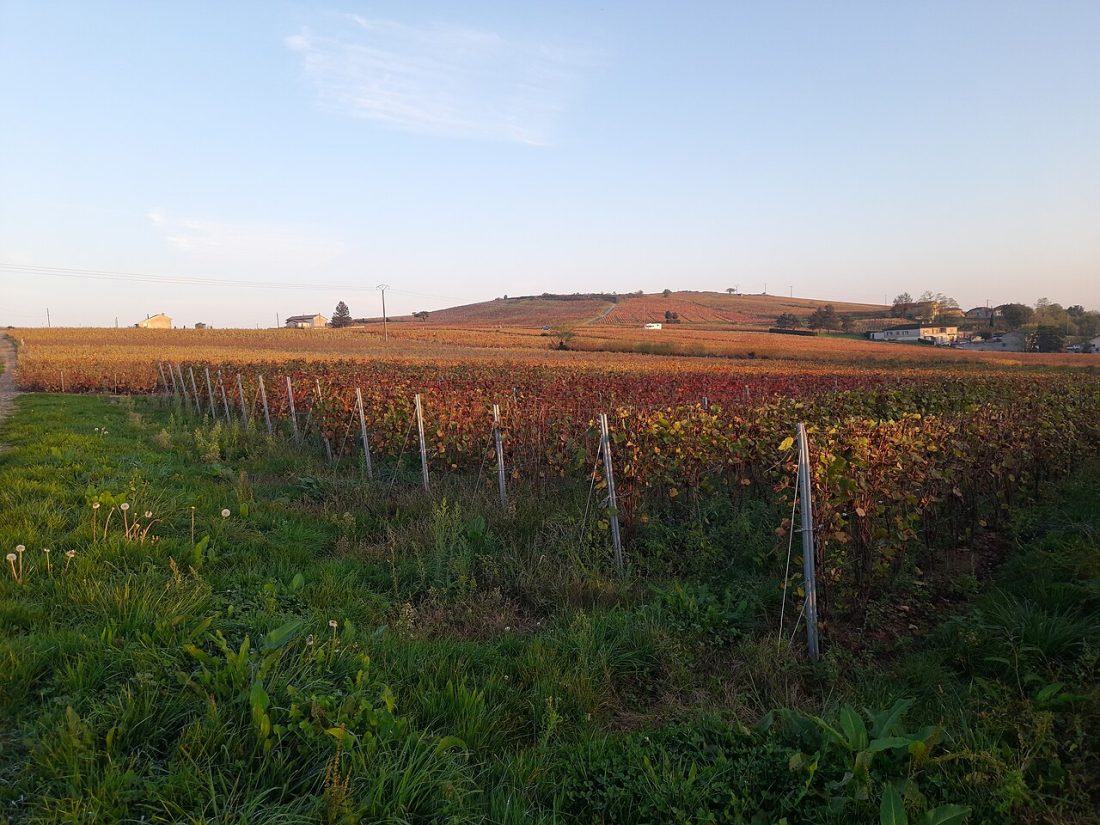 Vue de Villié-Morgon