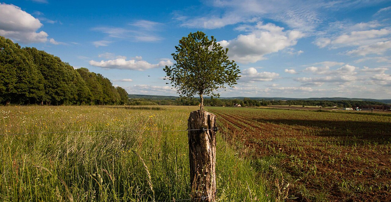 Vue de Vilory