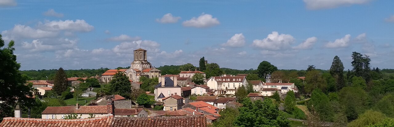 Vue de Vouvant