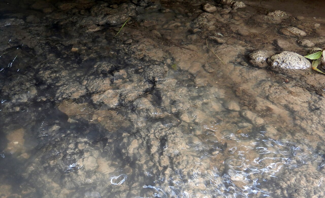 Vue de Wambercourt
