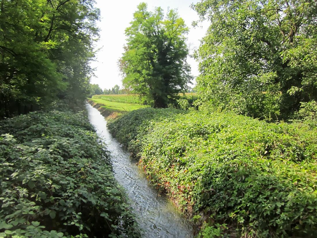 Vue de Weckolsheim