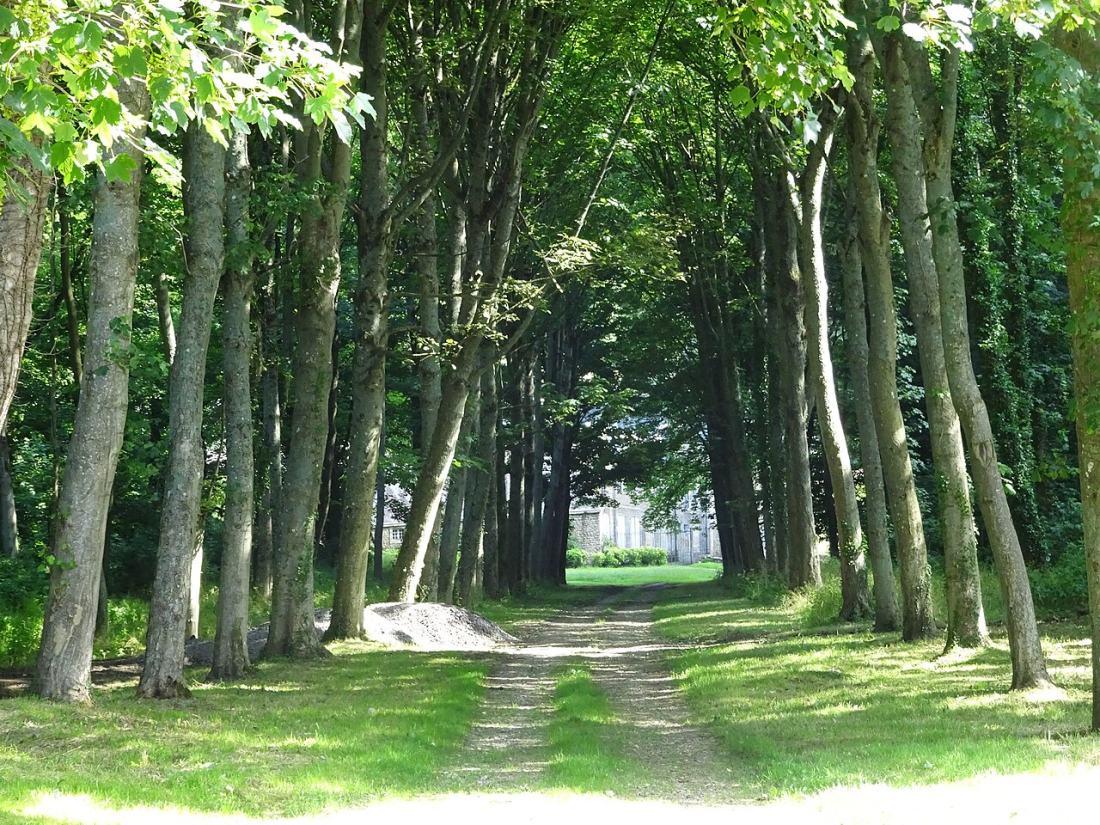 Vue de Wimille