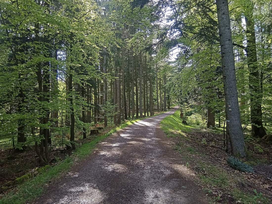 Vue de Wisches