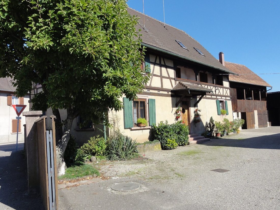 Vue de Witternheim